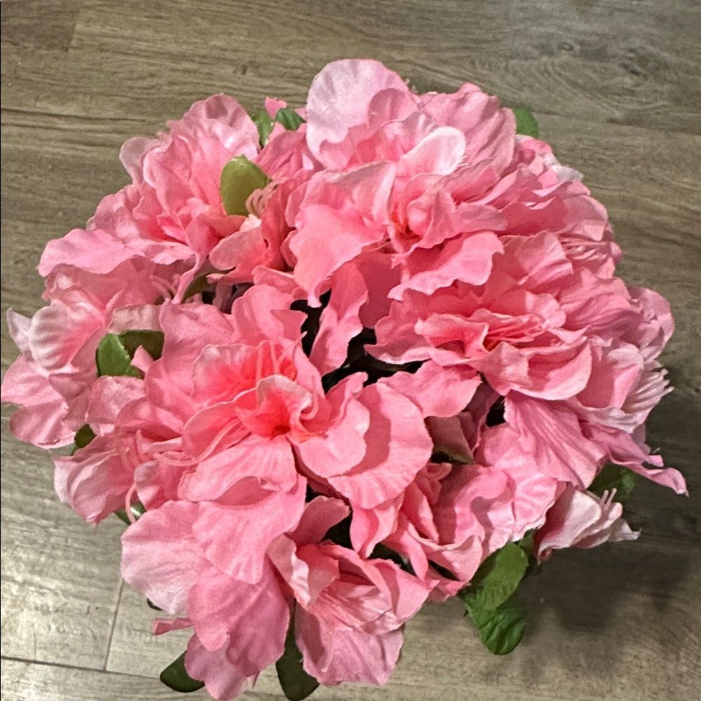 NEW Ashland bouquet of Pink Azaleas Stem Bush Floral